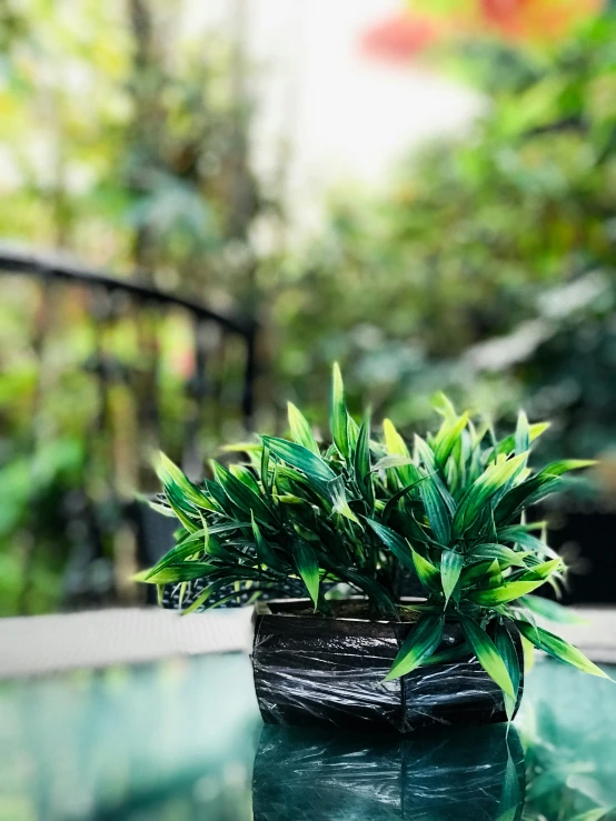 an empty potted plant on a small table