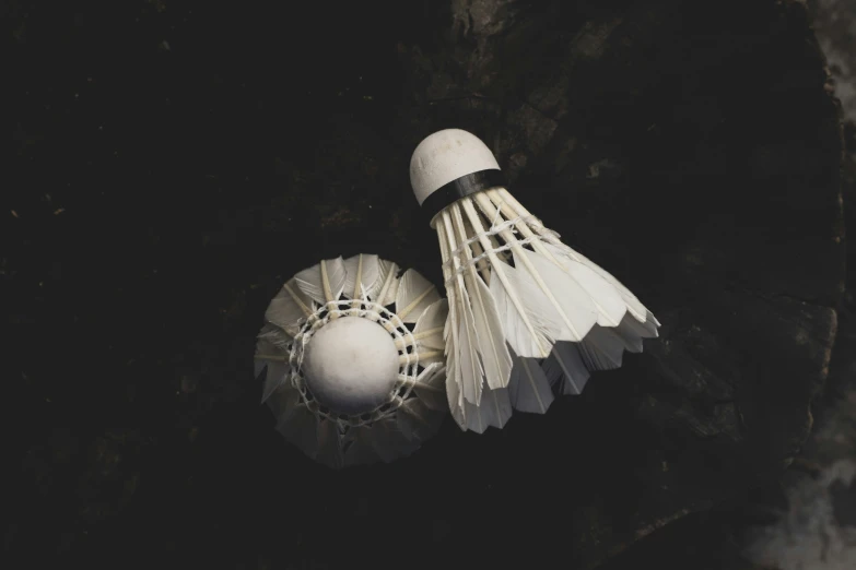 two white badminton balls next to a white shuttle