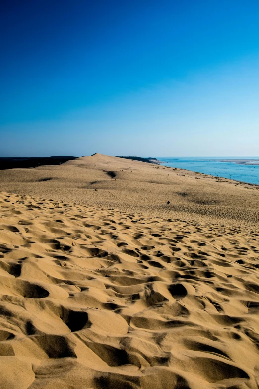 an area of beach that is nearly covered by sand