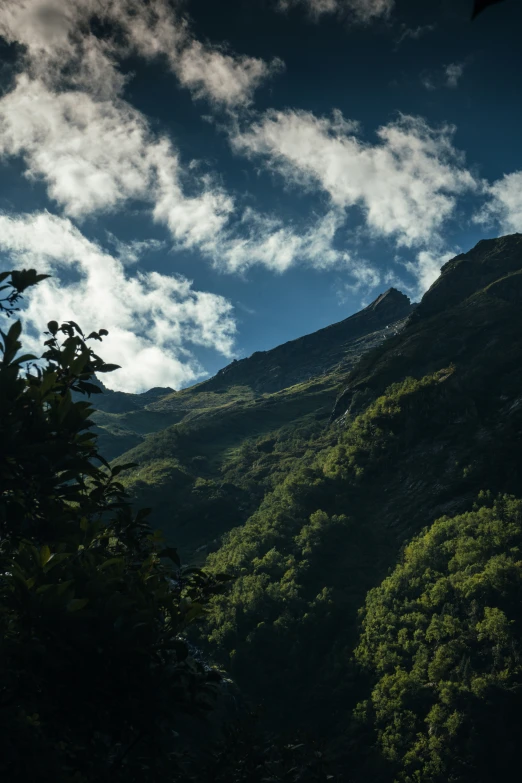 a mountain covered in green foliage under a blue sky