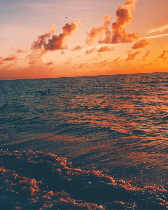 an airplane flying over the ocean at sunset