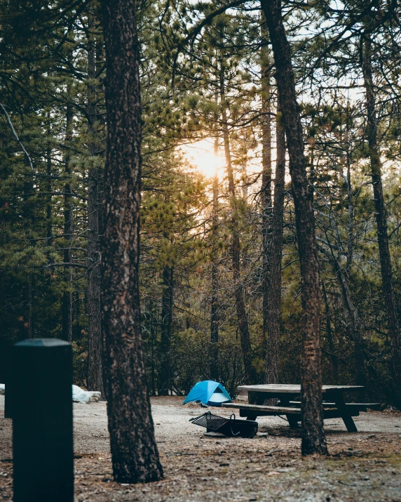 a tent sits in the woods as the sun rises