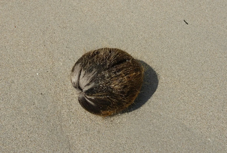 a top down view of a long - haired person's hair