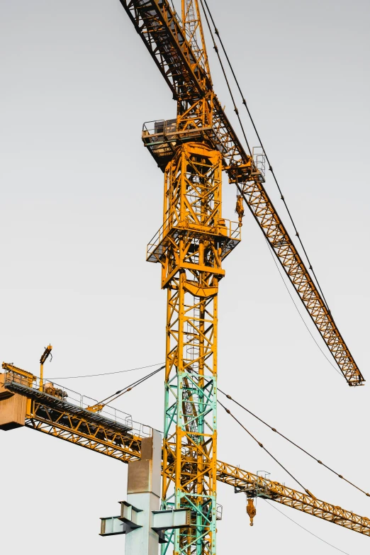 a crane is perched on the top of a building