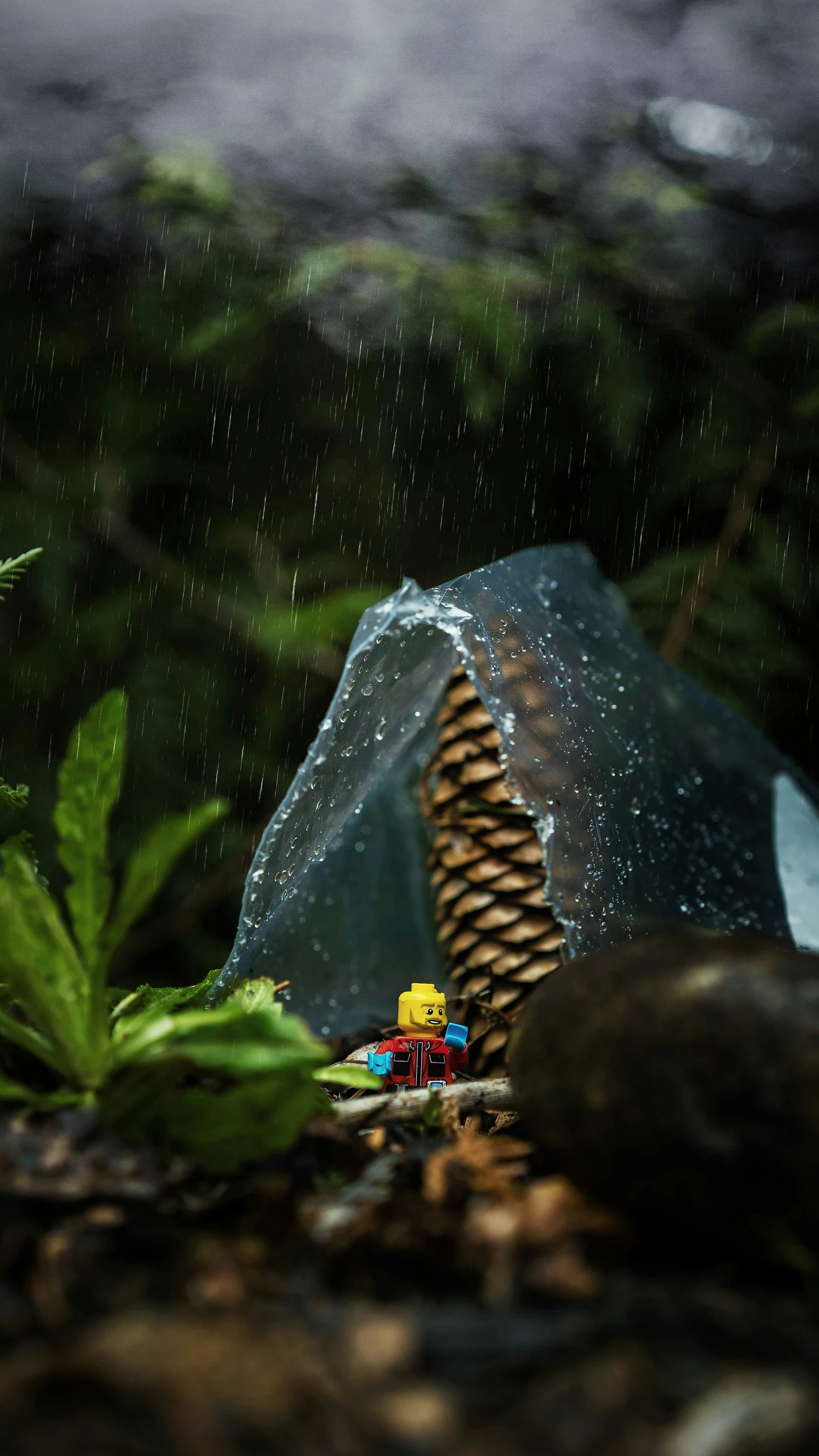 a plastic bag and a small toy car on some leaf covered ground