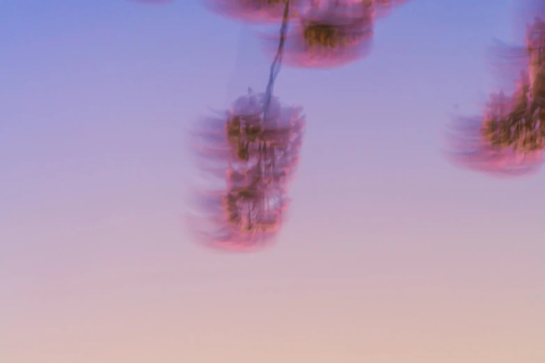 the reflection of tree tops in a dle of water