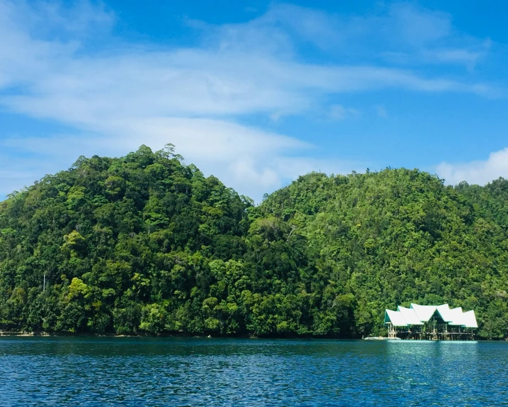 there is a boat sailing near a lush green forest