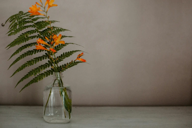 the flower vase has a green plant and orange flowers