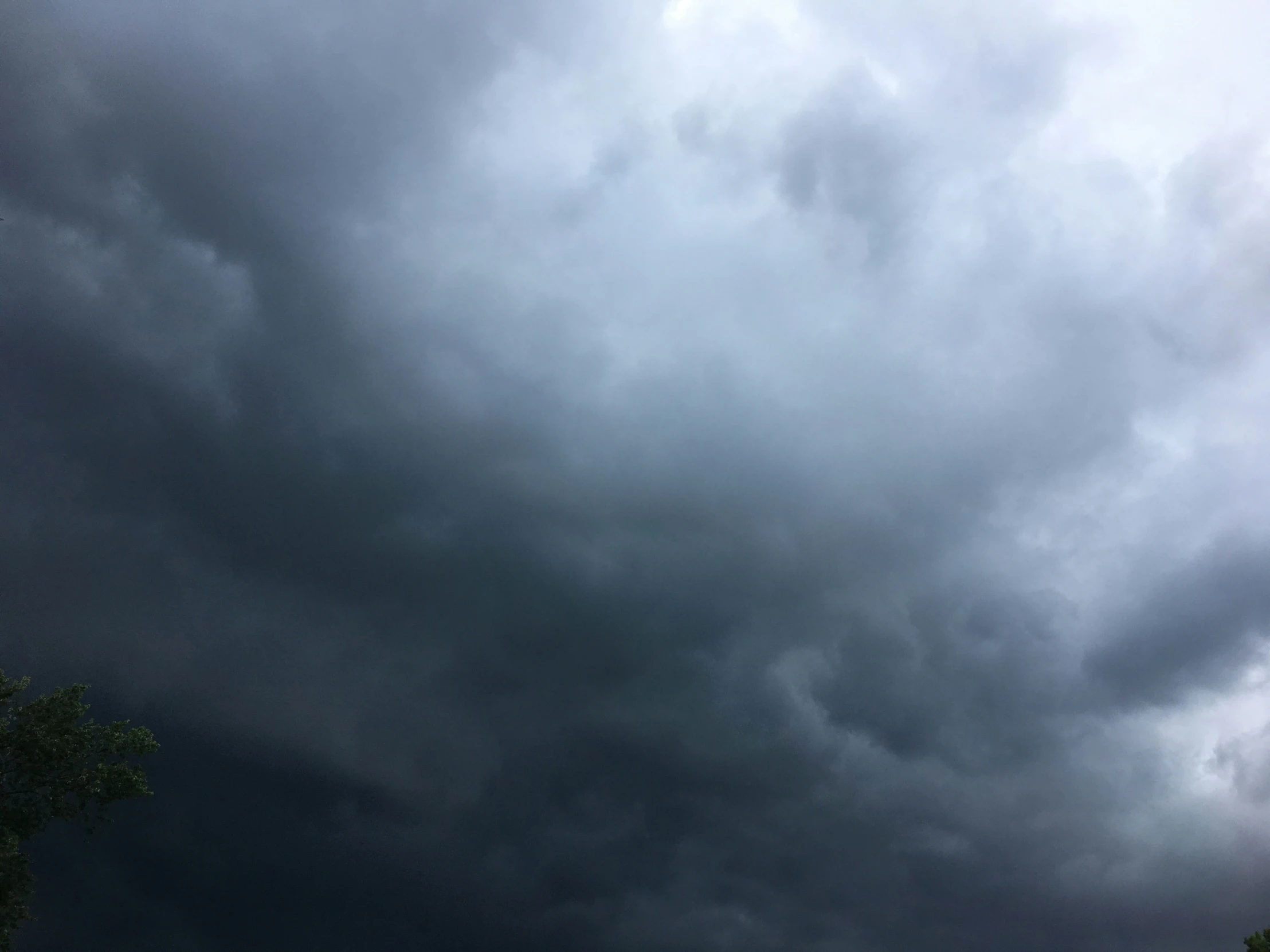 dark grey clouds hang over trees under a blue sky