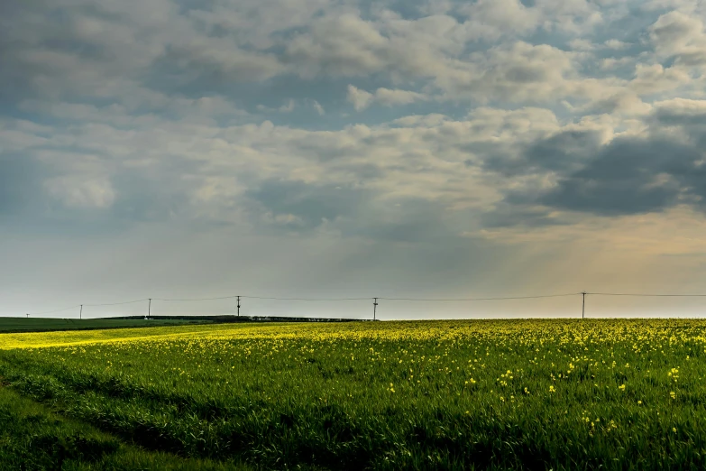 a sunbeam lights up the clouds above an expansive prairie