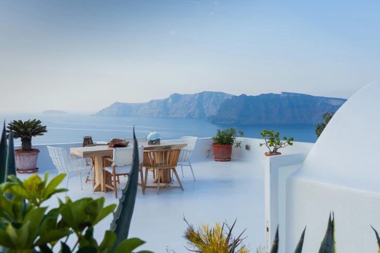 a terrace that has some plants on the ground