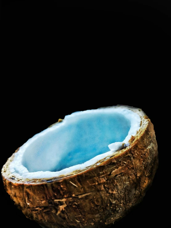 a blue and brown coconut in a black background