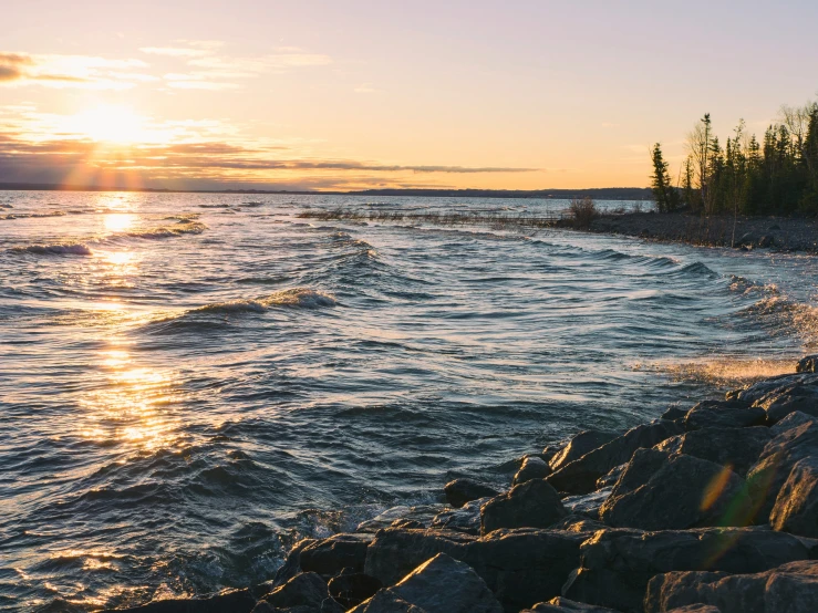 sunset in the background on an ocean shore with trees and rocks