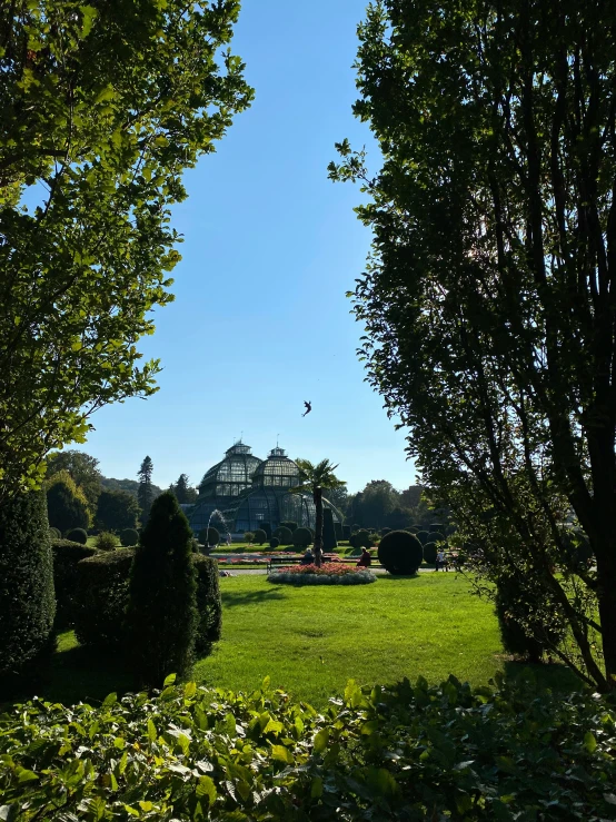 the park is full of lots of green shrubs