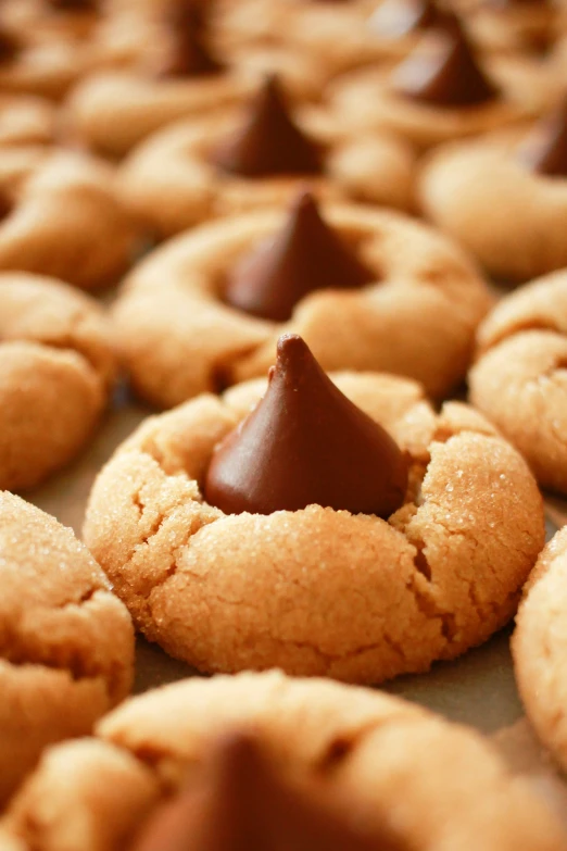 a close up of some chocolate - dipped cookies on a baking tray