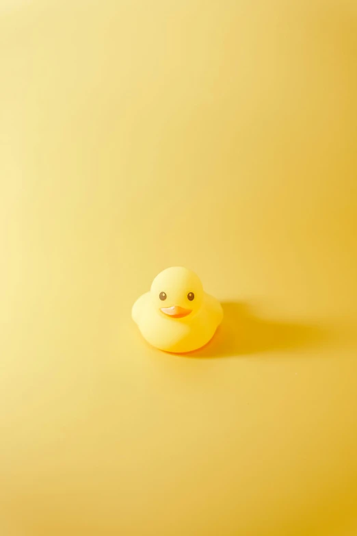 a rubber duck on a yellow background