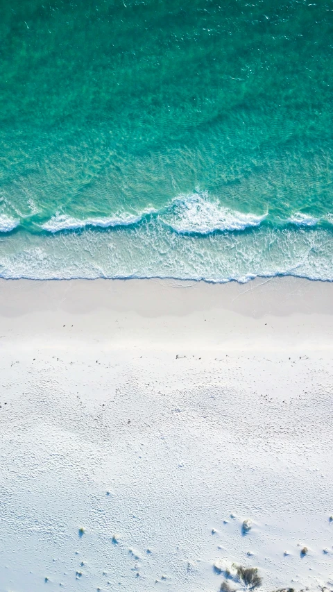 a beach has blue water and is covered in snow