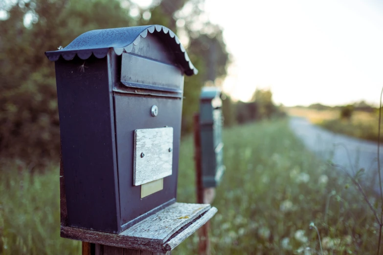 two mail boxes in a grassy area near some trees