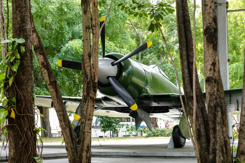 the propeller of an airplane is hanging on the trees