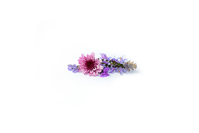 some purple and green flowers sit on a white surface