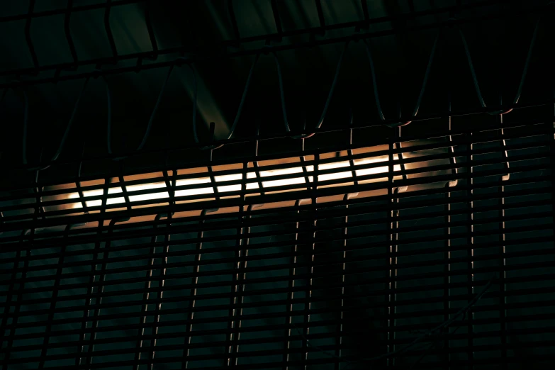 sunlight shines through the blinds of an office building