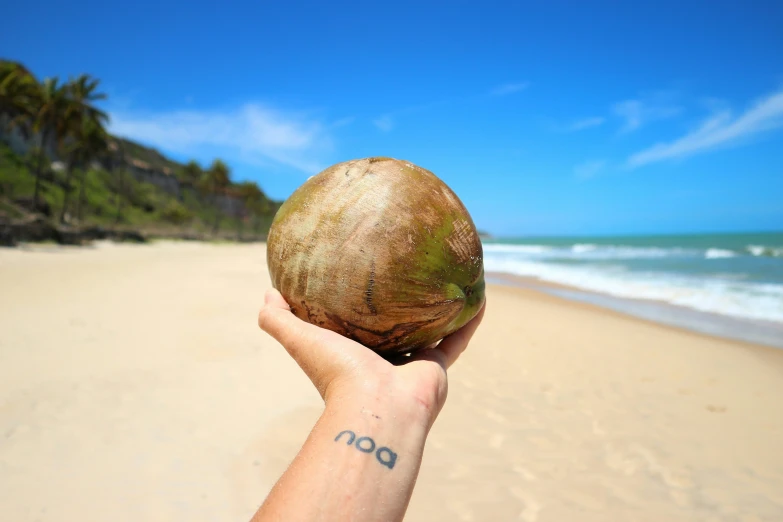 someone holding a coconut on a tropical beach