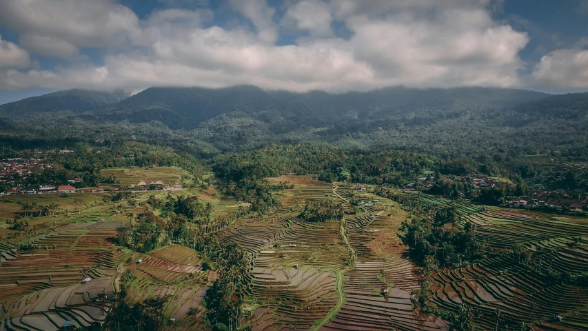 aerial view of farmlands in mountainous area with mountains