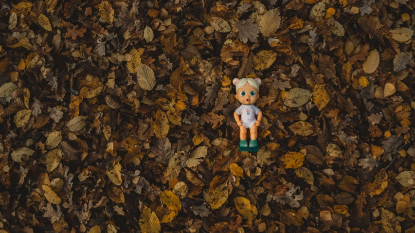 a little boy doll sitting in the leaves