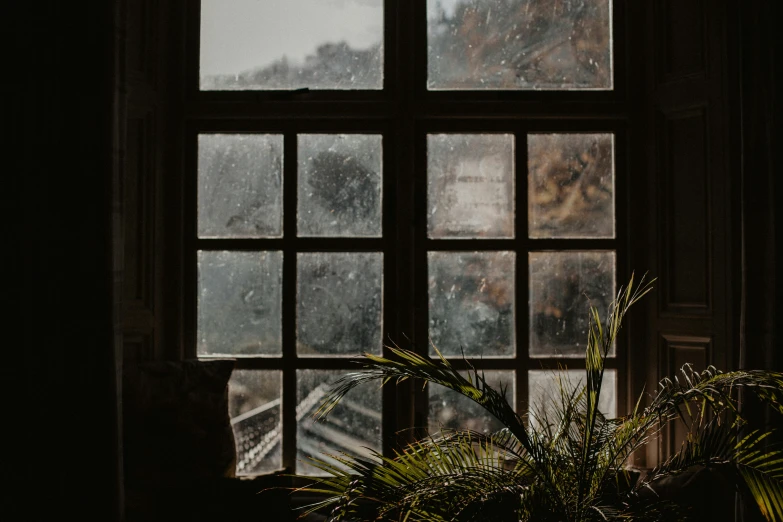looking out an open window in the rain, into an outside courtyard