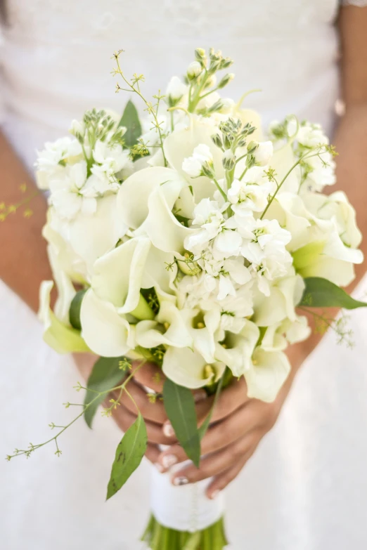 a woman holds flowers that are white with green leaves