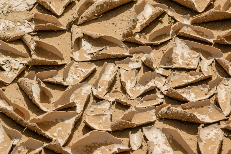 the floor has many broken pieces of clay