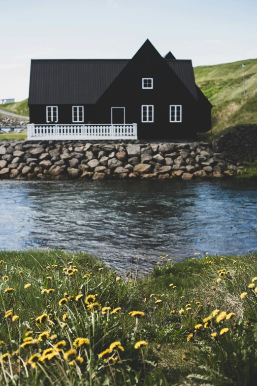 a water stream is running through the grass