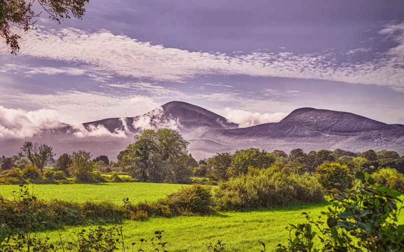 the view of a mountain from a field near some trees