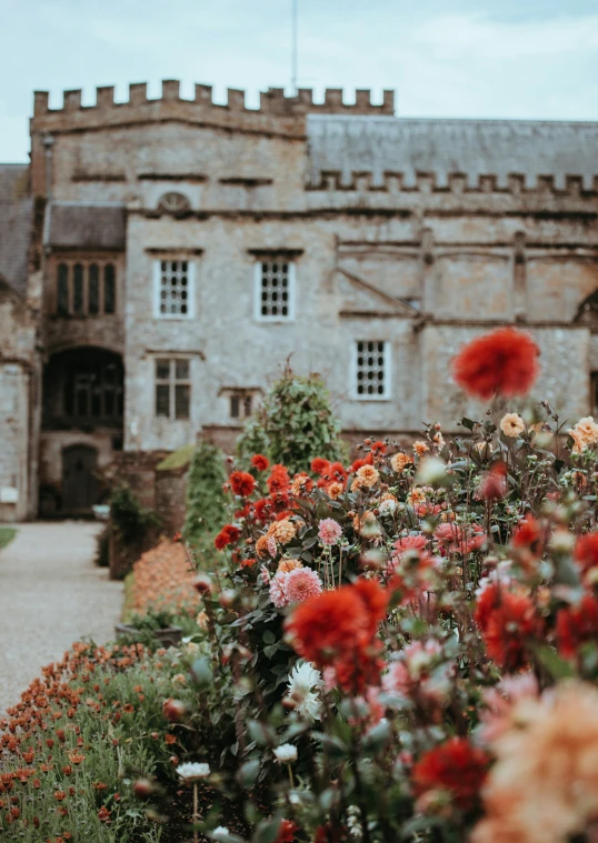 many red and pink flowers in front of a building