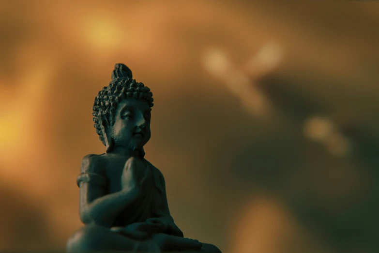 a statue of buddha sitting in the middle of a room