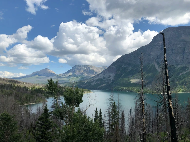 a large lake sitting in the middle of a forest