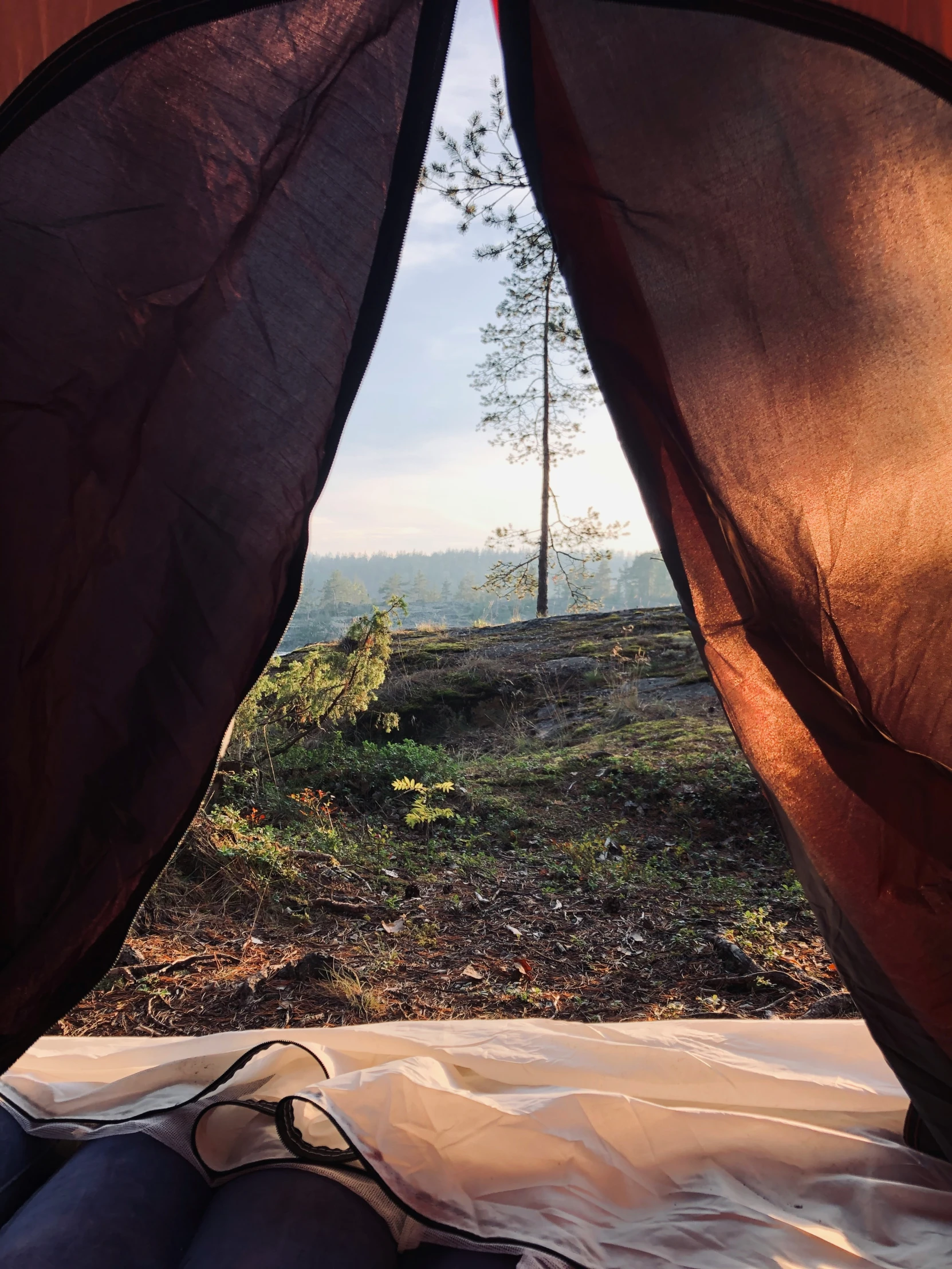a tent with the view of the woods and a tree