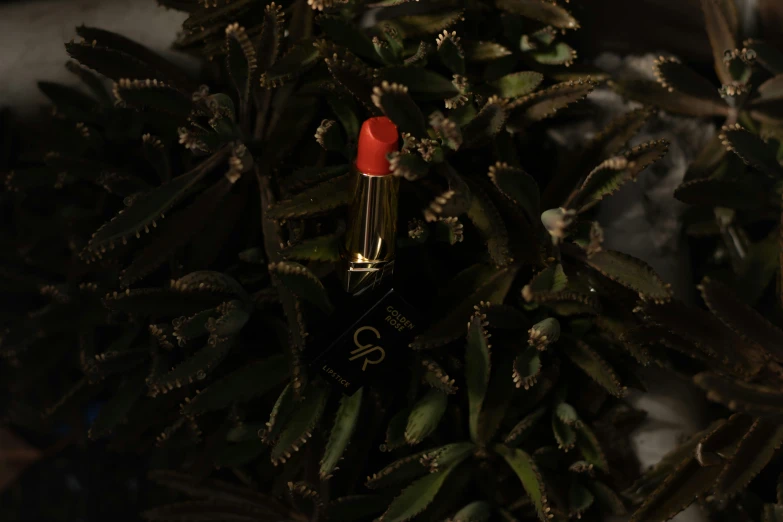 a lipstick sits on the tree in the middle of the night