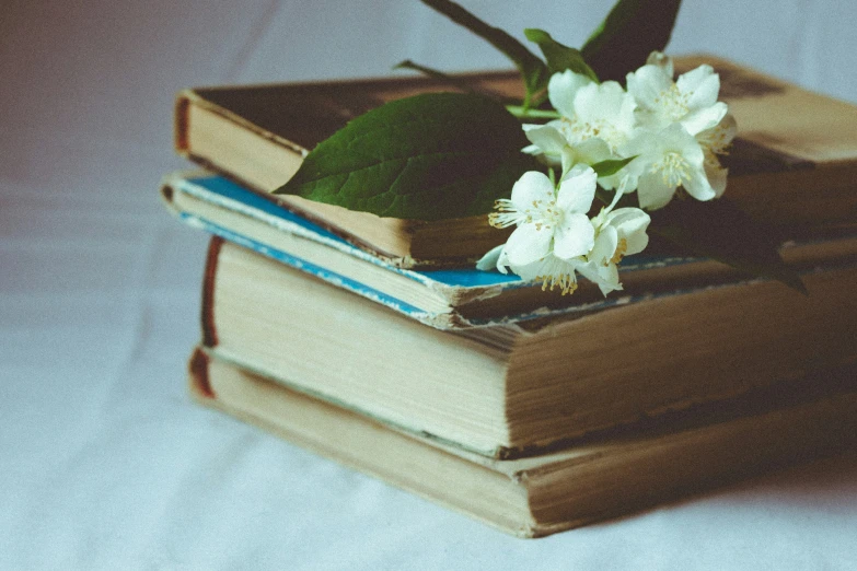 three books and one flower sitting on the end of each book