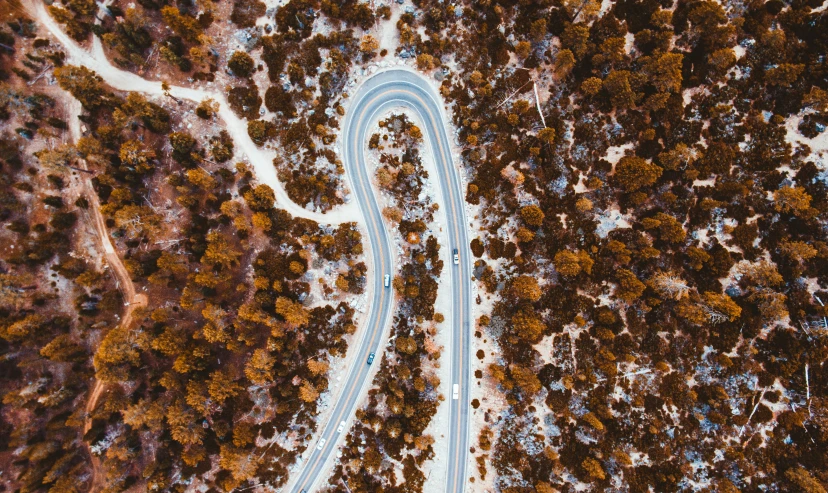 an aerial view of a street through a forest