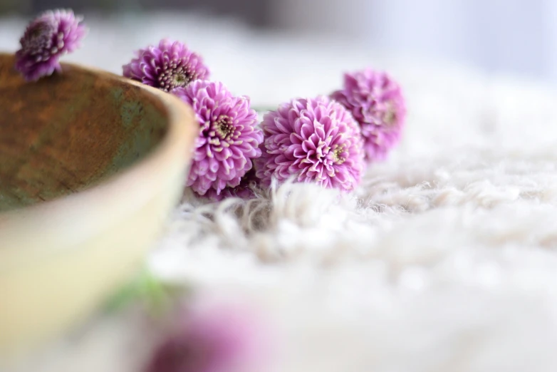 small purple flowers are in a bowl on a carpet