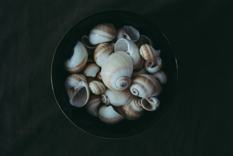 sea shells in a black bowl on a brown surface