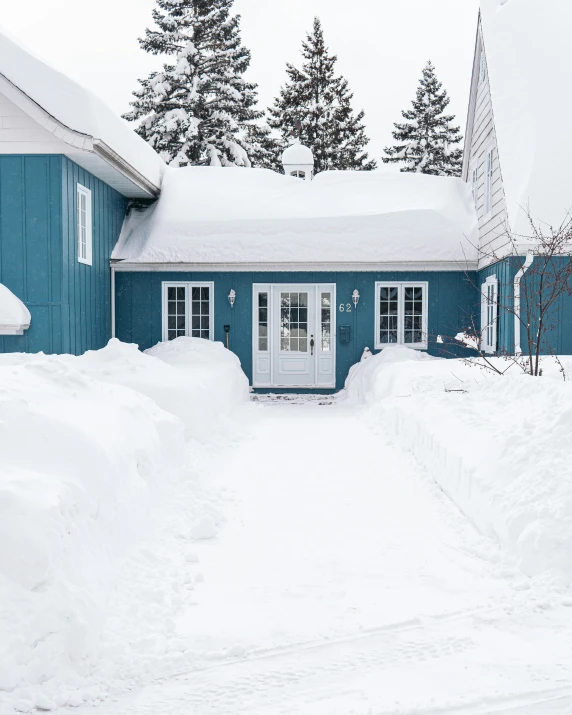 a very large snowy yard next to a house with trees