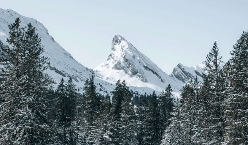 snowy mountains with snow on them are covered by trees