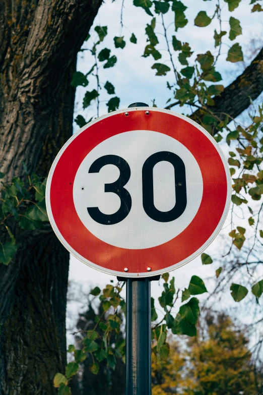 a red and white speed limit sign under a tree