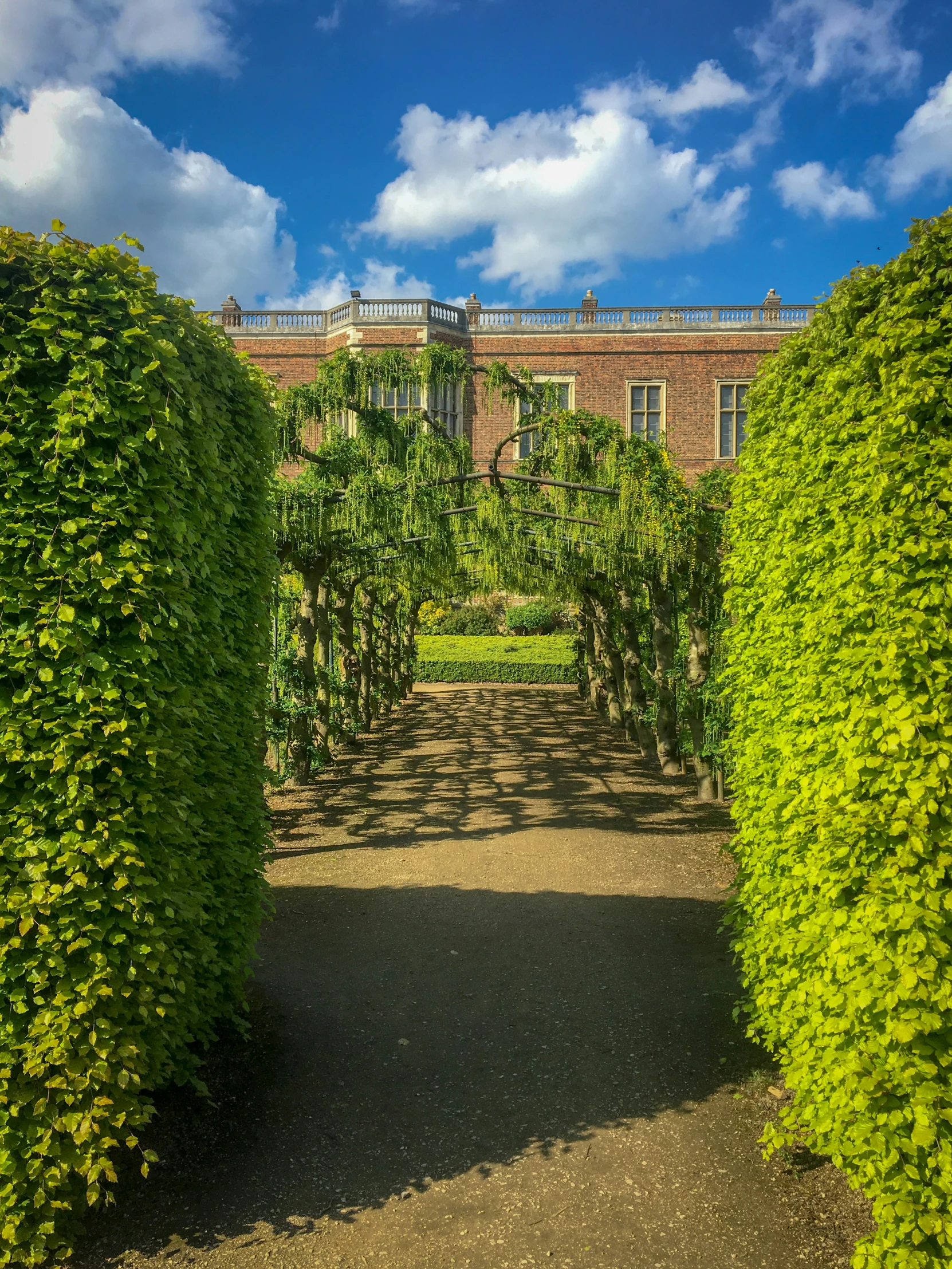 a row of bushes on either side of an arch of trees