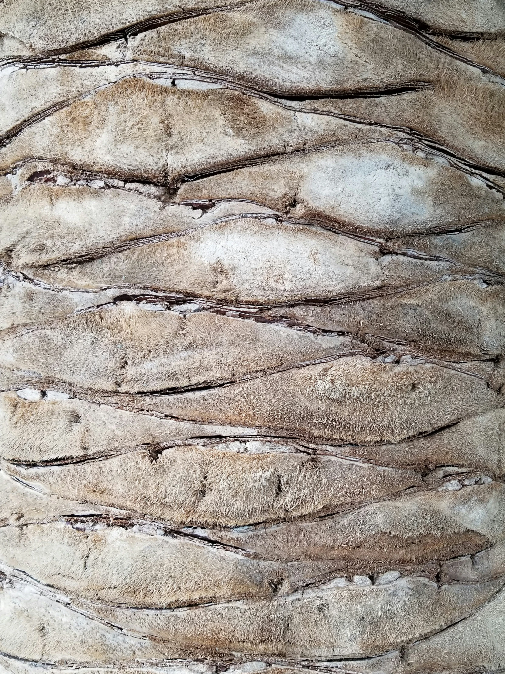 close up view of the top of a large piece of brown rock