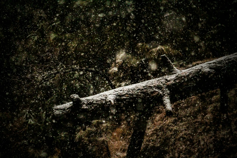 a piece of wood is covered with snow