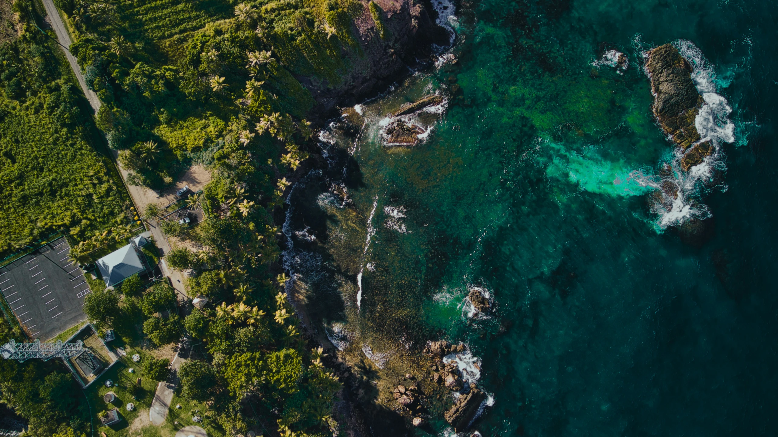 aerial view of an island with a green algae pond