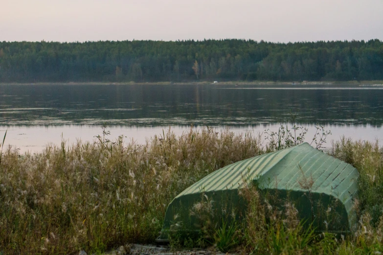 a view of a body of water near trees